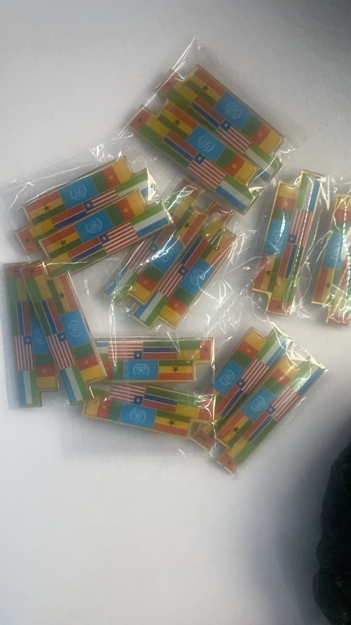 Flag Brooch